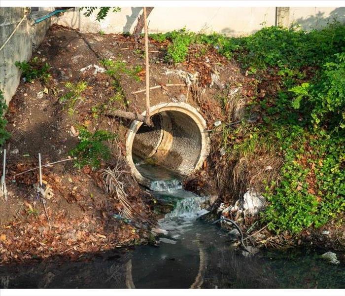 Sewage or domestic waste water or municipal waste water that is produced by a community of people.