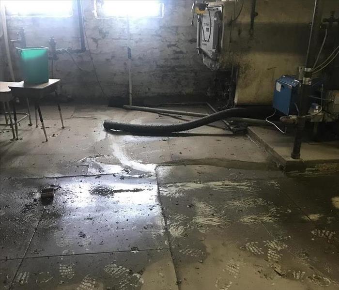 Sewer Damage in basement